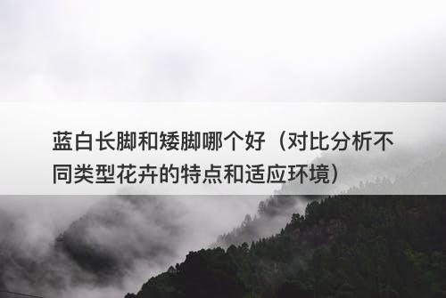 蓝白长脚和矮脚哪个好（对比分析不同类型花卉的特点和适应环境）