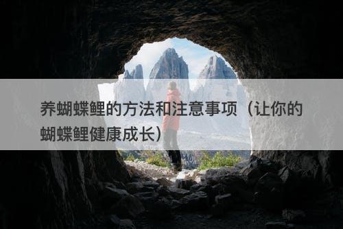 养蝴蝶鲤的方法和注意事项（让你的蝴蝶鲤健康成长）