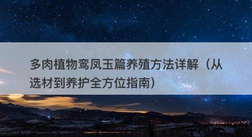 多肉植物鸾凤玉篇养殖方法详解（从选材到养护全方位指南）
