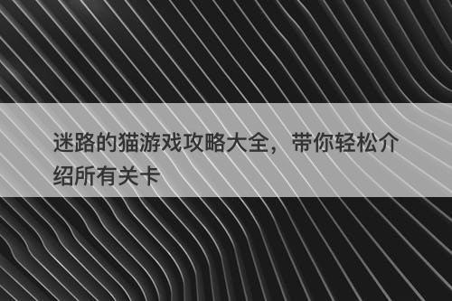 迷路的猫游戏攻略大全，带你轻松介绍所有关卡