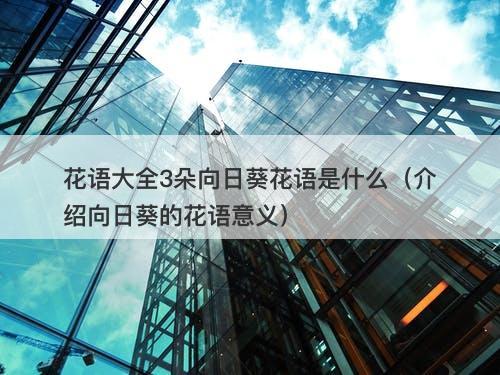 花语大全3朵向日葵花语是什么（介绍向日葵的花语意义）