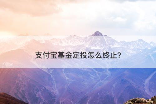 支付宝基金定投怎么终止？