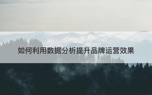 如何利用数据分析提升品牌运营效果