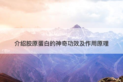 介绍胶原蛋白的神奇功效及作用原理