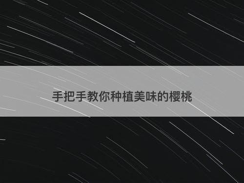 手把手教你种植美味的樱桃