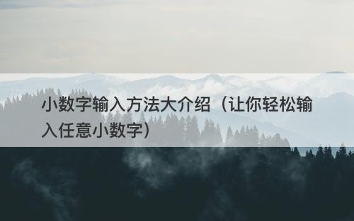 小数字输入方法大介绍（让你轻松输入任意小数字）