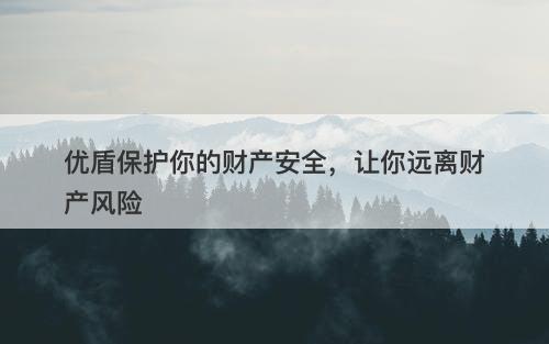 优盾保护你的财产安全，让你远离财产风险