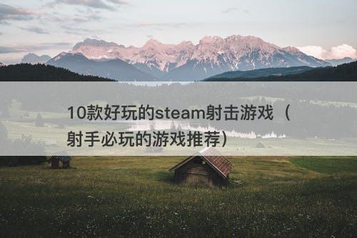 10款好玩的steam射击游戏（射手必玩的游戏推荐）