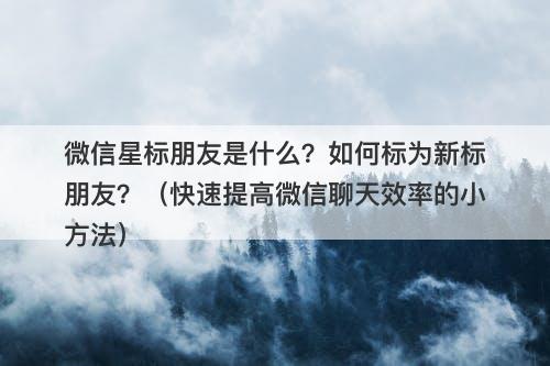 微信星标朋友是什么？如何标为新标朋友？（快速提高微信聊天效率的小方法）