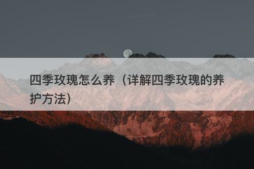 四季玫瑰怎么养（详解四季玫瑰的养护方法）