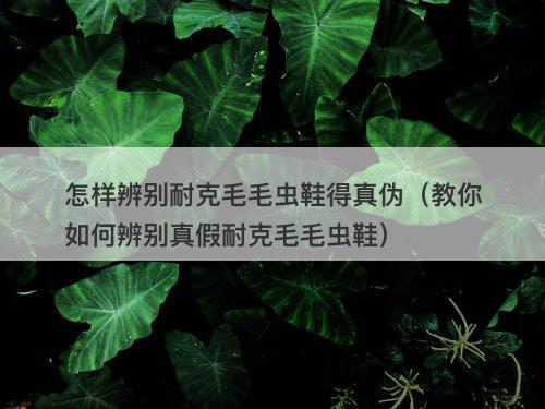 怎样辨别耐克毛毛虫鞋得真伪（教你如何辨别真假耐克毛毛虫鞋）