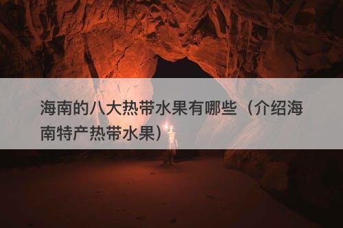 海南的八大热带水果有哪些（介绍海南特产热带水果）