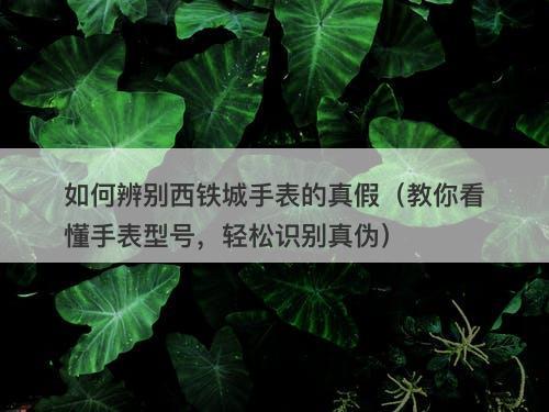 如何辨别西铁城手表的真假（教你看懂手表型号，轻松识别真伪）