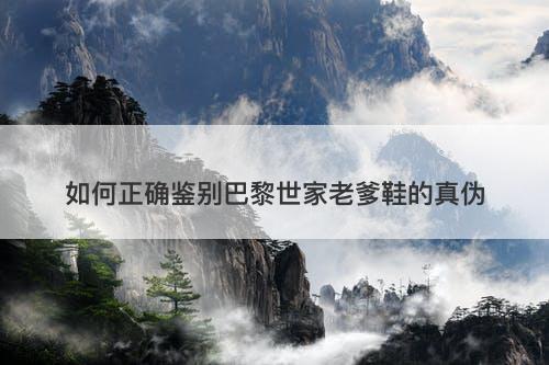 如何正确鉴别巴黎世家老爹鞋的真伪