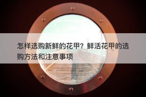 怎样选购新鲜的花甲？鲜活花甲的选购方法和注意事项