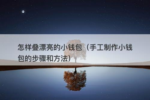 怎样叠漂亮的小钱包（手工制作小钱包的步骤和方法）