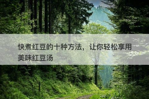 快煮红豆的十种方法，让你轻松享用美味红豆汤