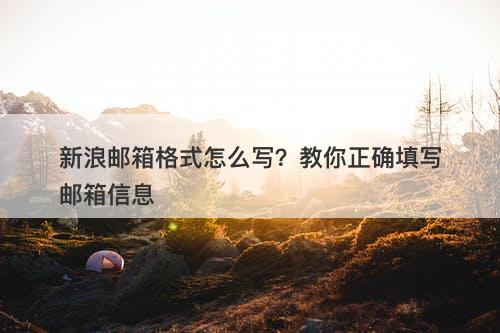 新浪邮箱格式怎么写？教你正确填写邮箱信息