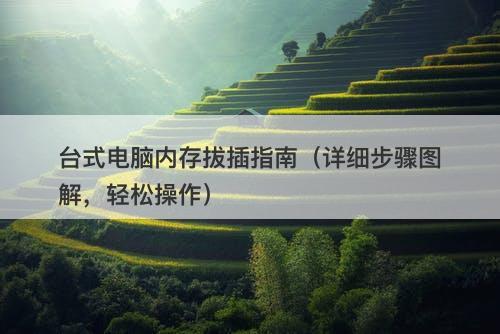 台式电脑内存拔插指南（详细步骤图解，轻松操作）