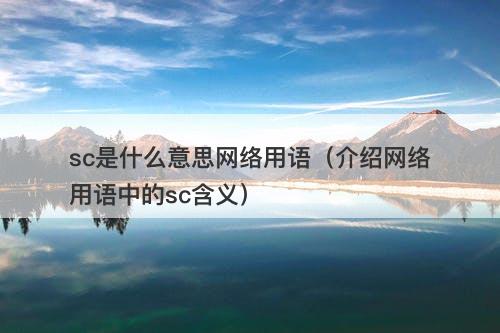sc是什么意思网络用语（介绍网络用语中的sc含义）-图1