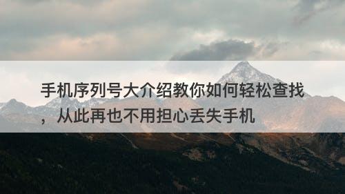 手机序列号大介绍教你如何轻松查找，从此再也不用担心丢失手机