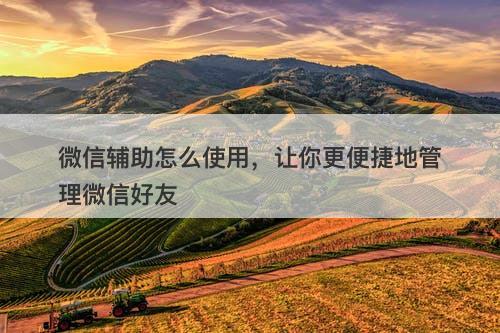 微信辅助怎么使用，让你更便捷地管理微信好友