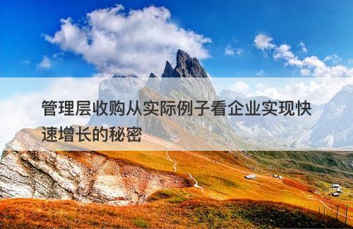 管理层收购从实际例子看企业实现快速增长的秘密