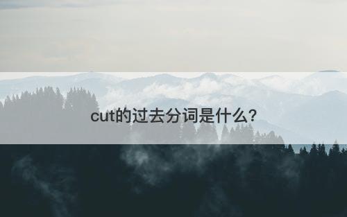 cut的过去分词是什么？