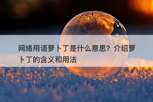 网络用语萝卜丁是什么意思？介绍萝卜丁的含义和用法