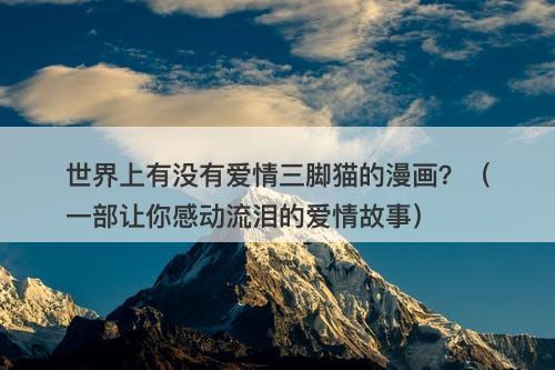 世界上有没有爱情三脚猫的漫画？（一部让你感动流泪的爱情故事）