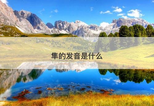 隼的发音是什么