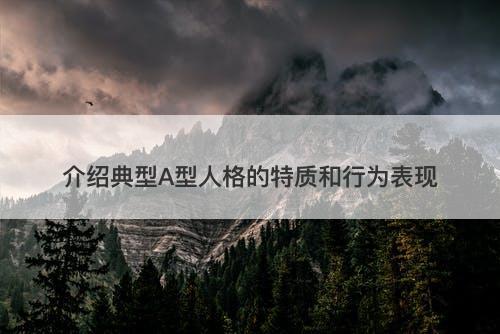 介绍典型A型人格的特质和行为表现