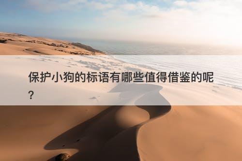保护小狗的标语有哪些值得借鉴的呢？