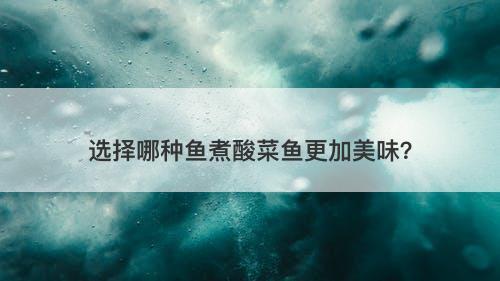 选择哪种鱼煮酸菜鱼更加美味？