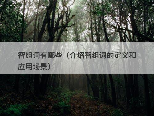 智组词有哪些（介绍智组词的定义和应用场景）