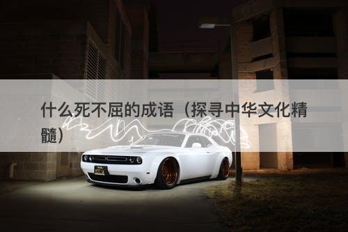什么死不屈的成语（探寻中华文化精髓）