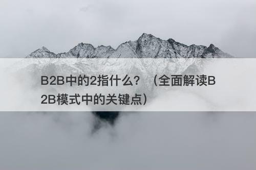 B2B中的2指什么？（全面解读B2B模式中的关键点）
