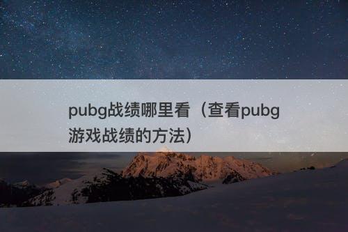 pubg战绩哪里看（查看pubg游戏战绩的方法）