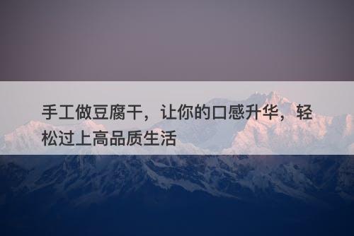 手工做豆腐干,让你的口感升华,轻松过上高品质生活