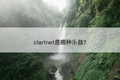 clarinet是哪种乐器？