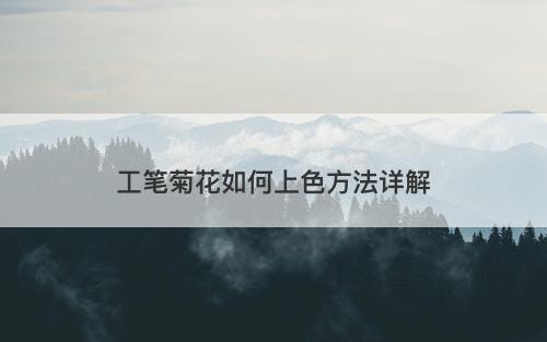工笔菊花如何上色方法详解