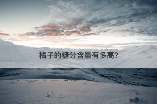 橘子的糖分含量有多高？