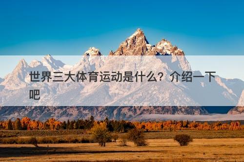 世界三大体育运动是什么？介绍一下吧
