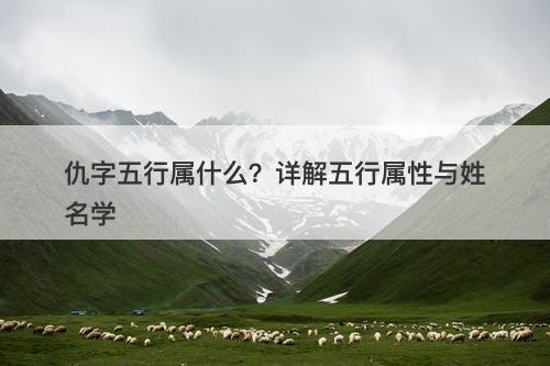 仇字五行属什么?详解五行属性与姓名学