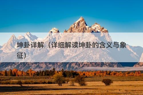 坤卦详解（详细解读坤卦的含义与象征）