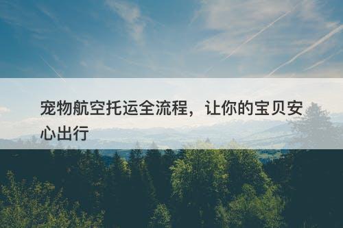 宠物航空托运全流程，让你的宝贝安心出行