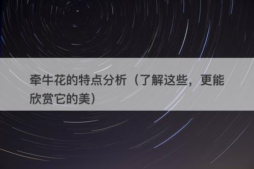 牵牛花的特点分析（了解这些，更能欣赏它的美）-图1