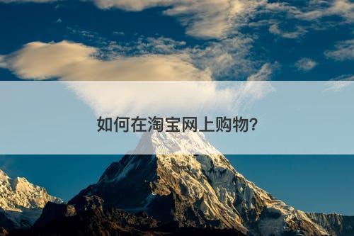 如何在淘宝网上购物?