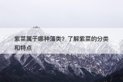 紫菜属于哪种藻类?了解紫菜的分类和特点