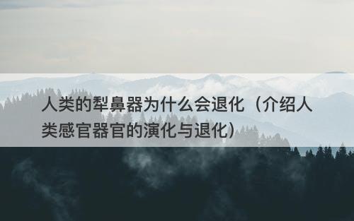 人类的犁鼻器为什么会退化（介绍人类感官器官的演化与退化）